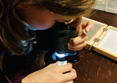 STEM Kit: Nature Up Close