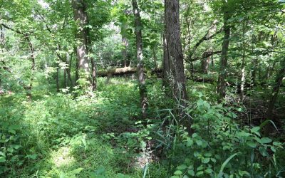 DeKalb County Tours: Forest Preserves and Parks