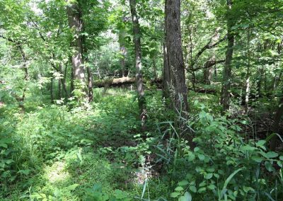 DeKalb County Tours: Forest Preserves and Parks