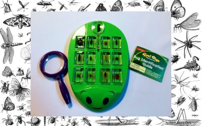 STEM Kit: Bugs, Bugs, Everywhere!