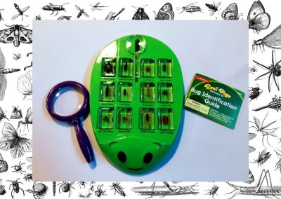 STEM Kit: Bugs, Bugs, Everywhere!