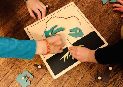 STEM Kit: Trees (Preschool)