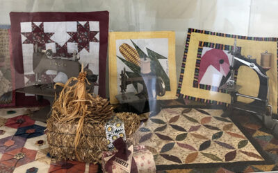 Display Case: DeKalb County Quilters’ Guild