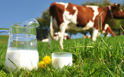June is National Dairy Month