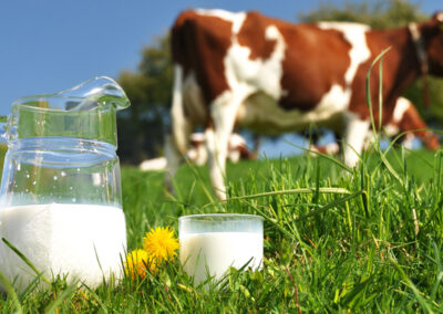 June is National Dairy Month