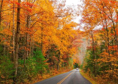 “Fall-ing” for the Library