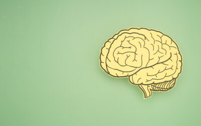 Celebrating Know-vember