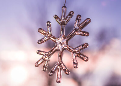 Shortest Day, Longest Night: Celebrating Solstice