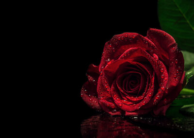 Valentine’s Day with Edgar Allan Poe