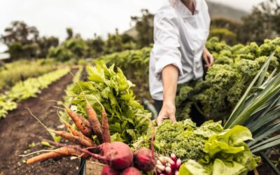 DKPL’s Seed Library is Open!