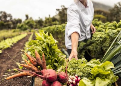 DKPL’s Seed Library is Open!