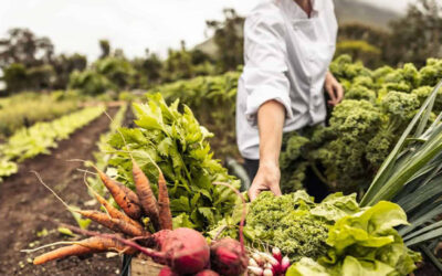 DKPL’s Seed Library is Open!