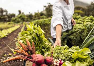 DKPL’s Seed Library is Open!