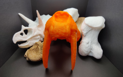 DKPL’s Open-Source Museum: Part 3