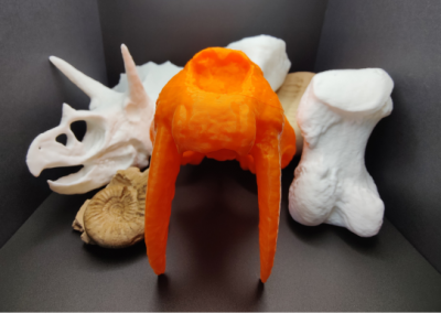 DKPL’s Open-Source Museum: Part 3