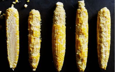 Shuck Yeah! It’s Almost Time for Corn Fest!