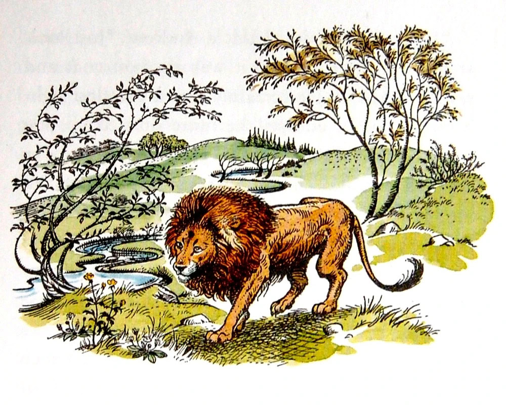 An illustration of Aslan the lion from The Chronicles of Narnia books.